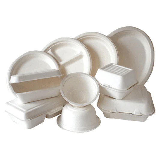 Arnesco Bagasse Products